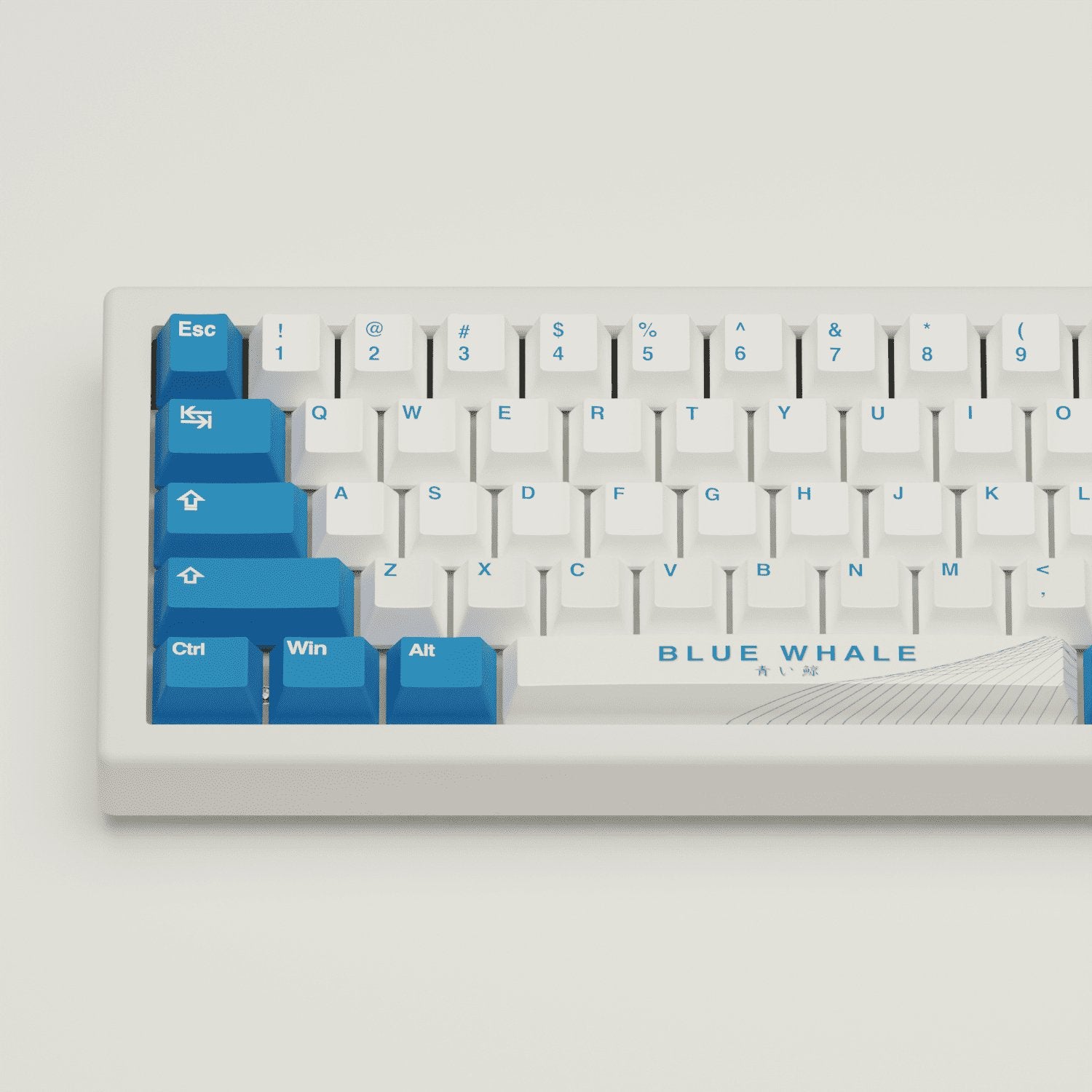 Blue Whale Keycaps - Goblintechkeys