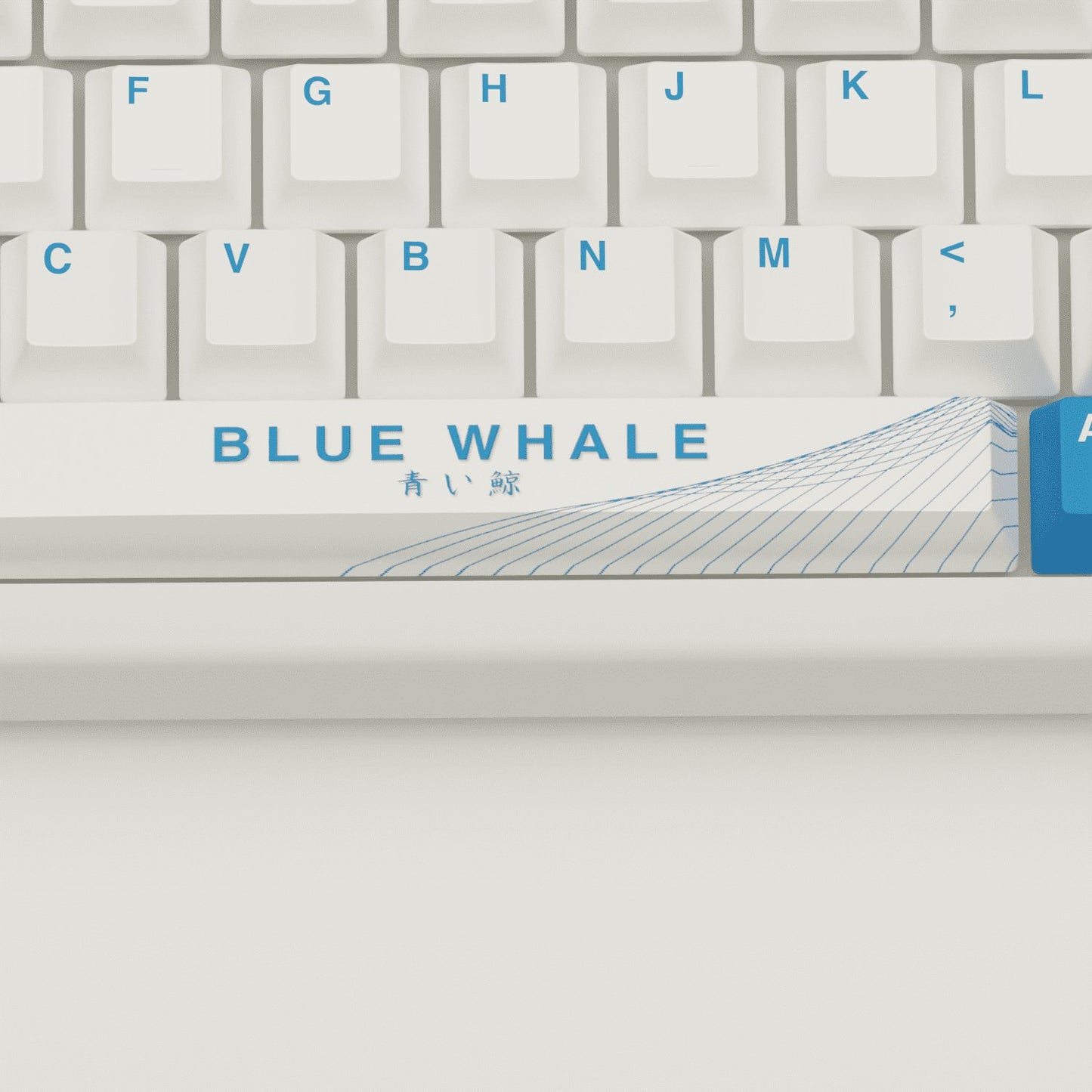 Blue Whale Keycaps - Goblintechkeys