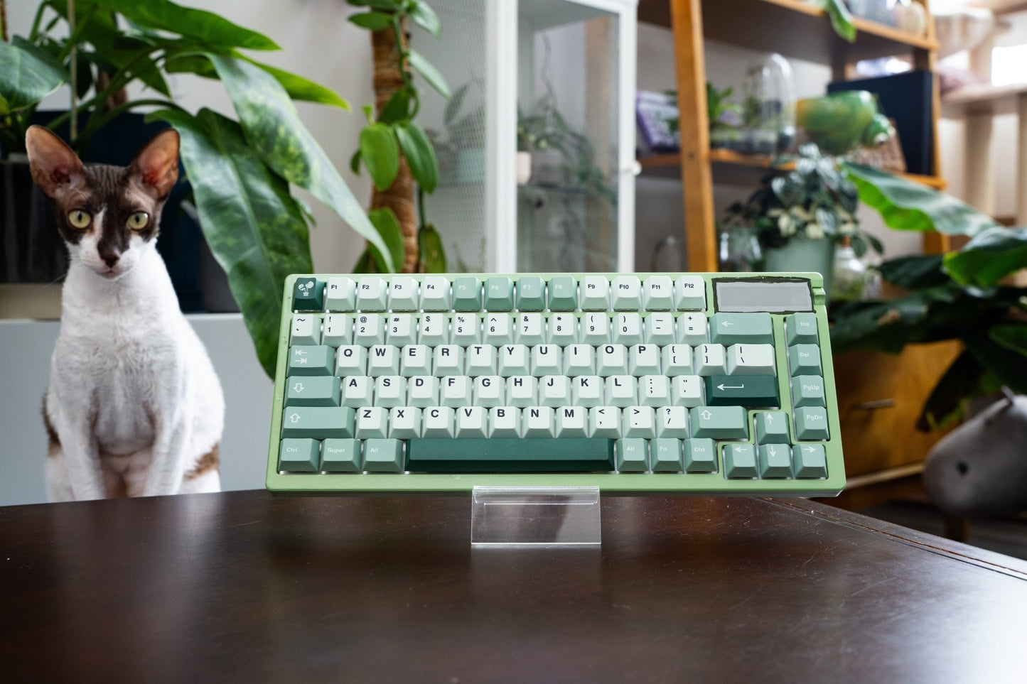 HipyoCaps Jungle | Plant Themed Keycap Set | 155 Keys PBT Keycaps | Hipyo Tech Keycaps - Goblintechkeys